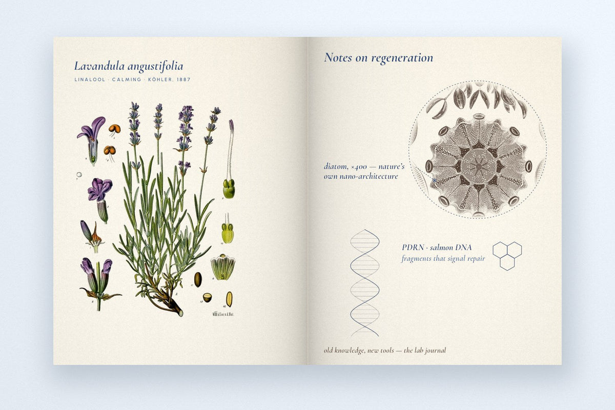 Open lab journal with botanical plate, diatom and DNA notes: a guide to navigating Skincare Lab