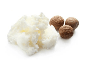 Organic Shea Body Butter No Fragrance 8 & 2 oz. Tubs - Skincare Lab