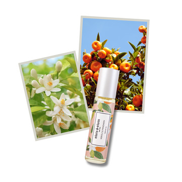 Neroli & Mandarin Perfume Oil - Skincare Lab