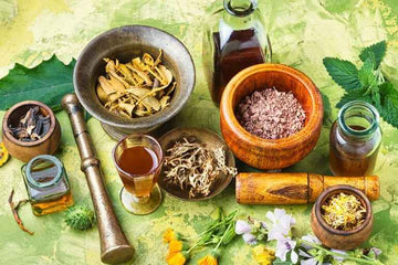 Ayurvedic &amp; Wellness