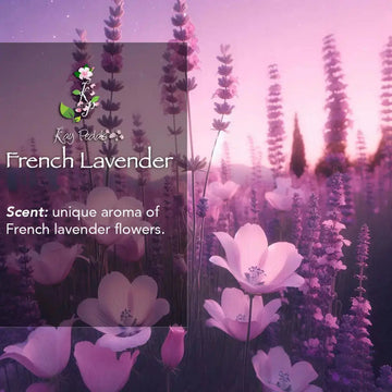 French Lavender Bundle Skin Care Gift Set - Skincare Lab