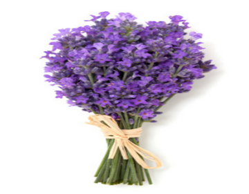 Exfoliating Organic Body Scrub Lavender Fragrance - Skincare Lab