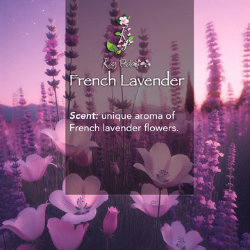 French Lavender Natural Organic Body Lotion - Skincare Lab