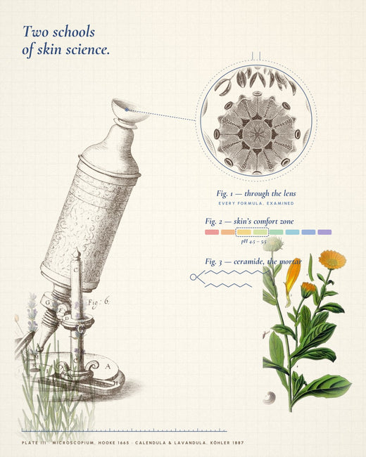 Two schools of skin science